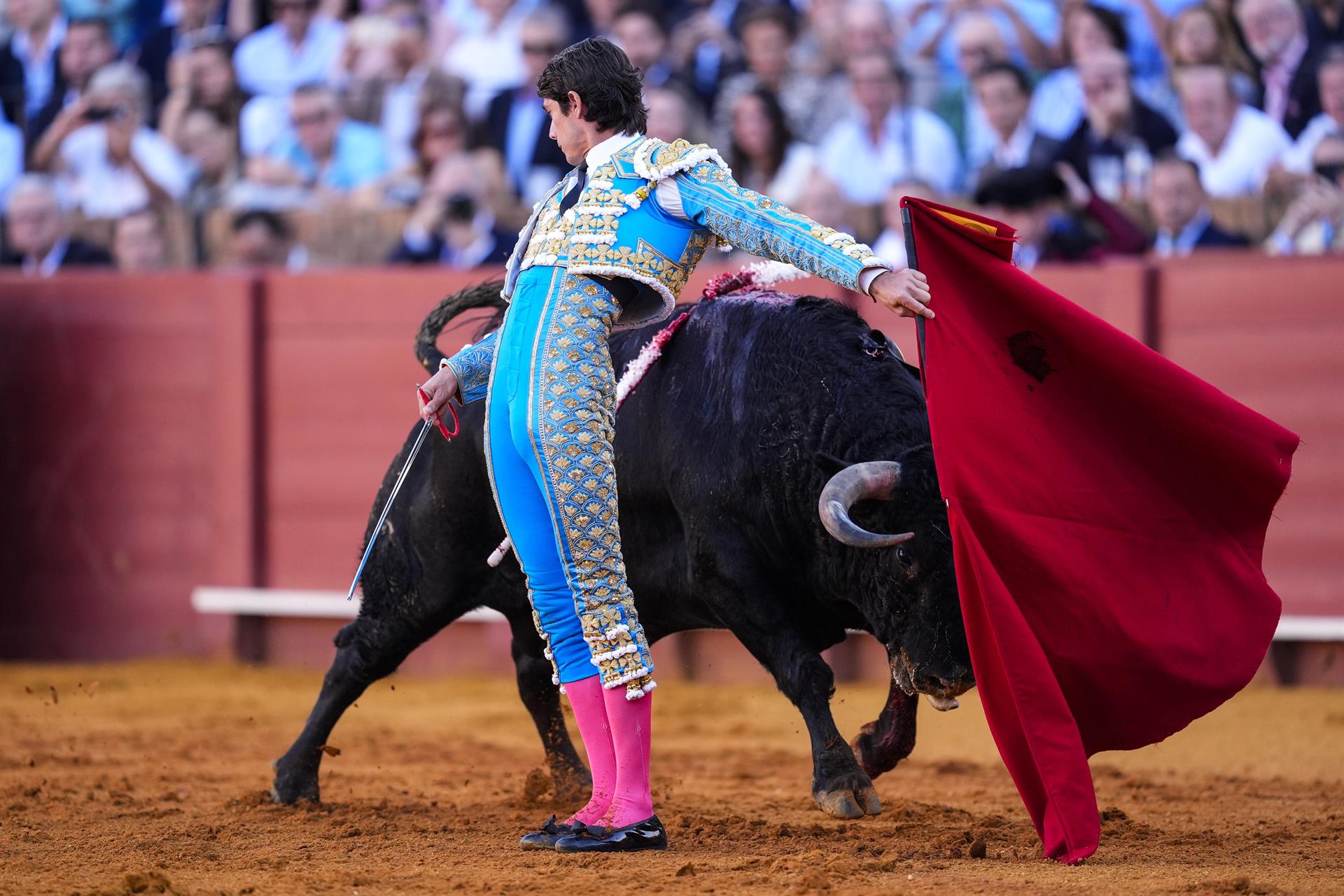 Creus que és un despropòsit tornar a permetre les corregudes de toros a Mallorca?