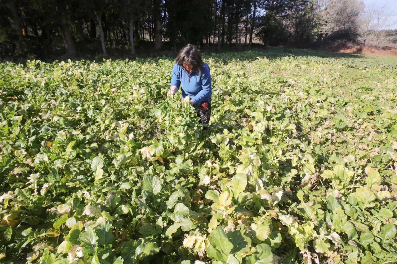 Reivindiquen el paper de la dona al sector primari de les Balears: «Som necessàries per a aconseguir el relleu generacional»