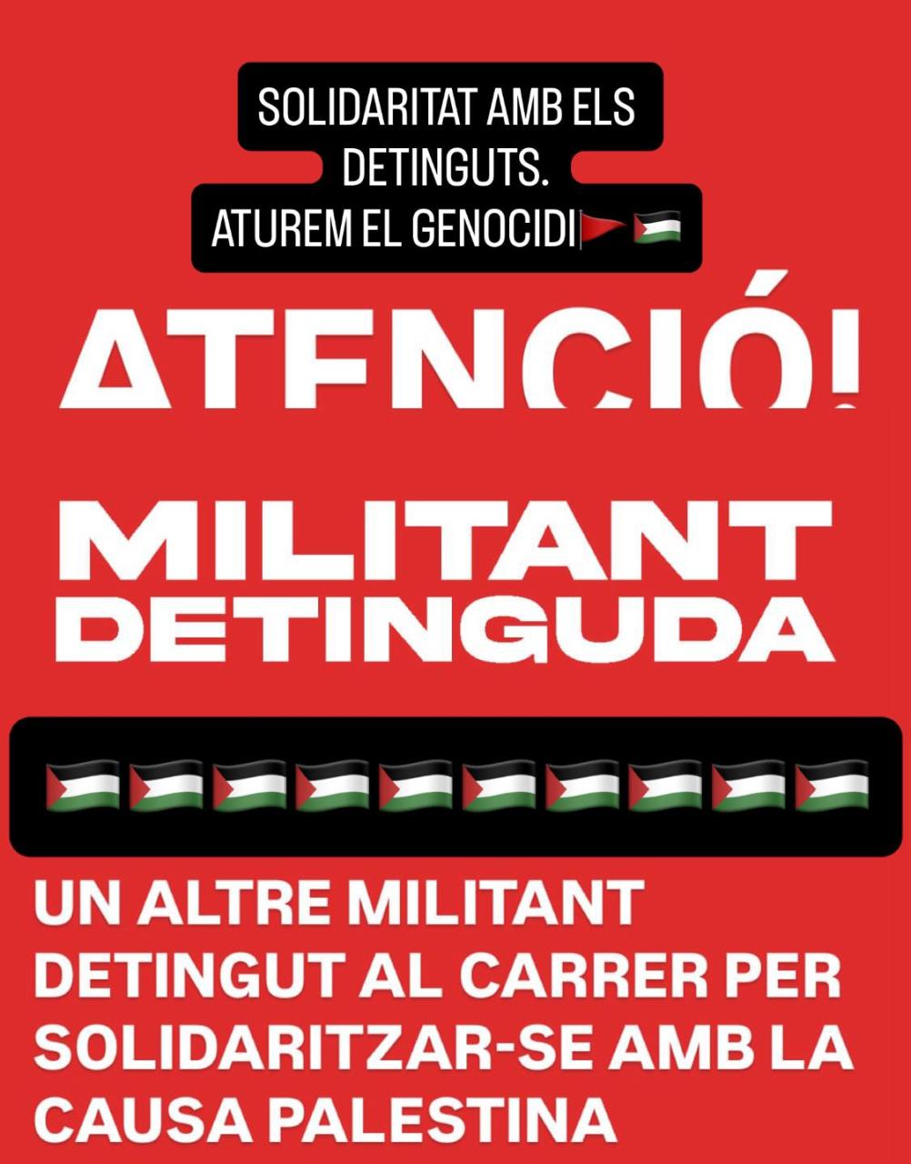 Nova detenció per raons polítiques a Palma: tercer solidari amb palestina arrestat per la policia espanyola