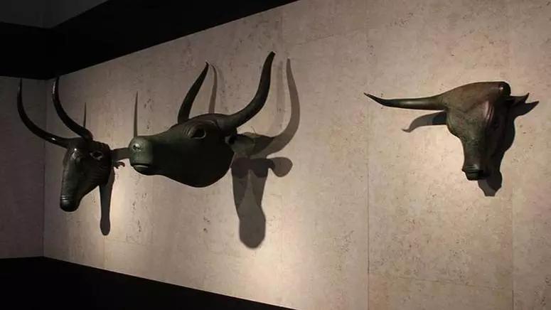 El Pi demana crear una comissió per al retorn dels caps de bou de Costitx a Mallorca