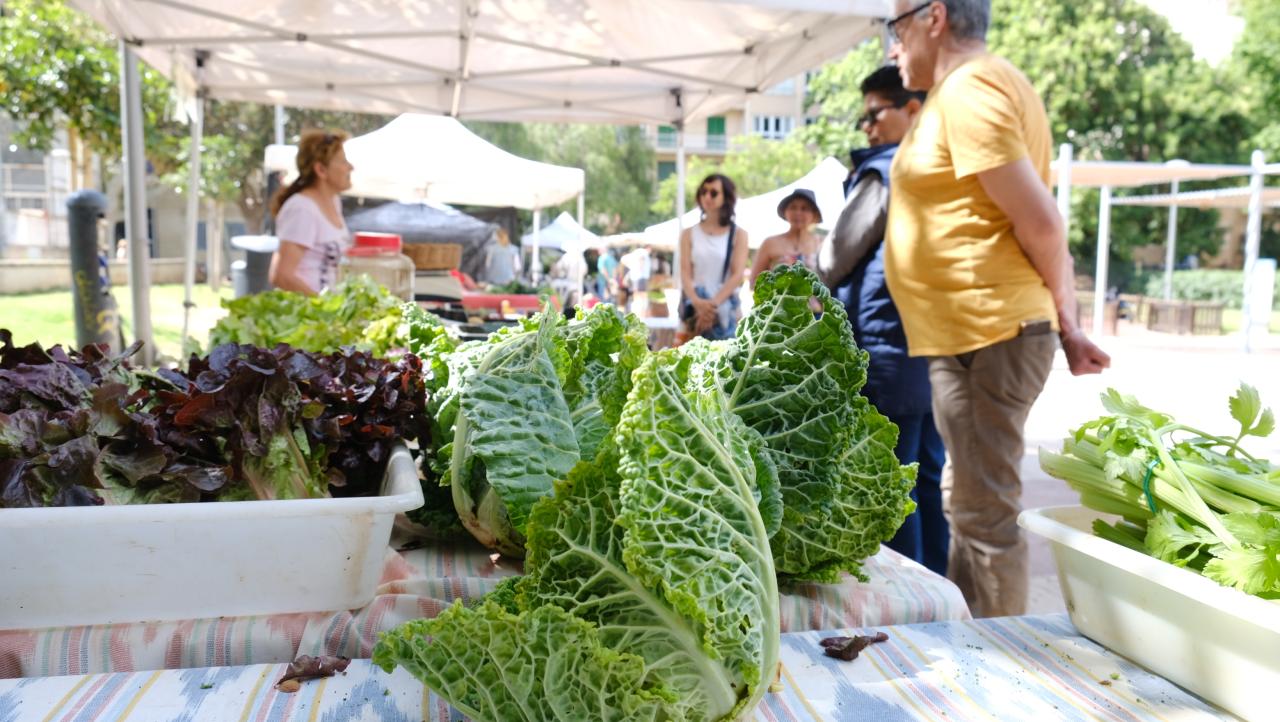 El Mercat Ecològic de Palma celebra 15 anys com a referent de l’agroecologia al cor de Palma