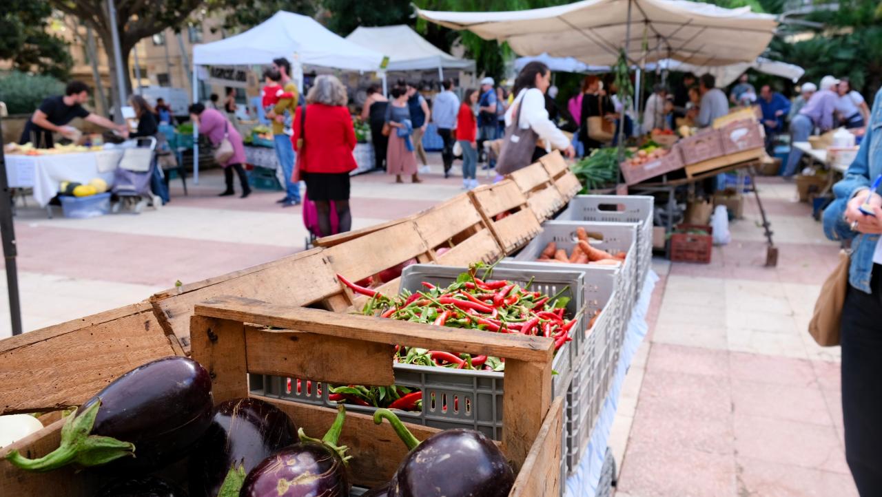 El Mercat Ecològic de Palma celebra els seus 15 anys de vida amb una festa reivindicativa
