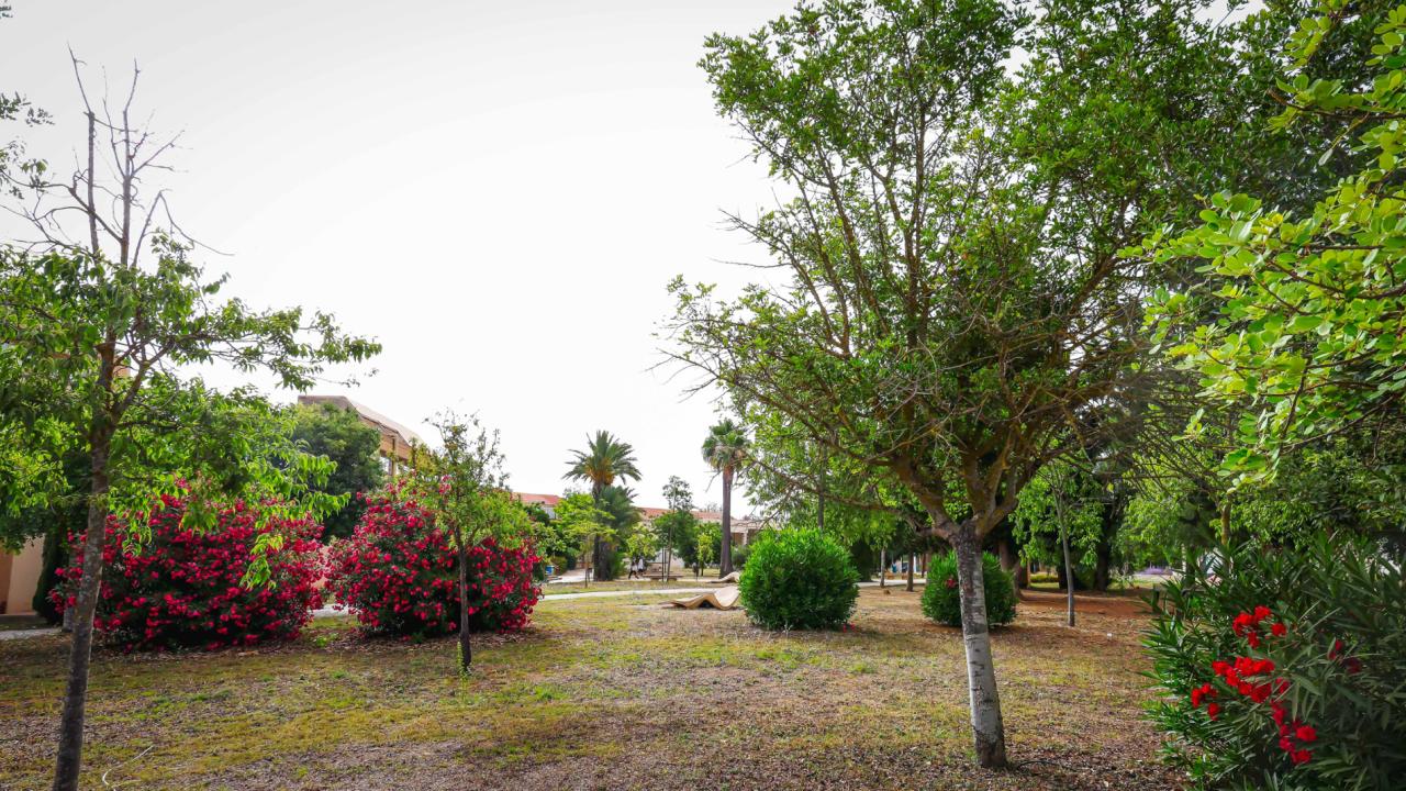 Les IX Jornades de Medi Ambient de les Illes Balears posen en valor la recerca sobre el medi natural de l’arxipèlag