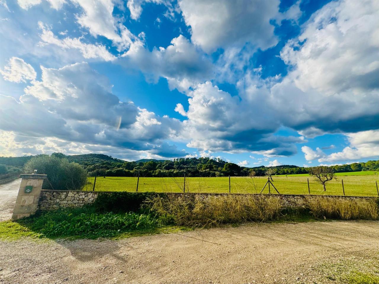 Alerten sobre l’impacte ecològic de fins a set projectes per emmagatzemar energia a Alcúdia