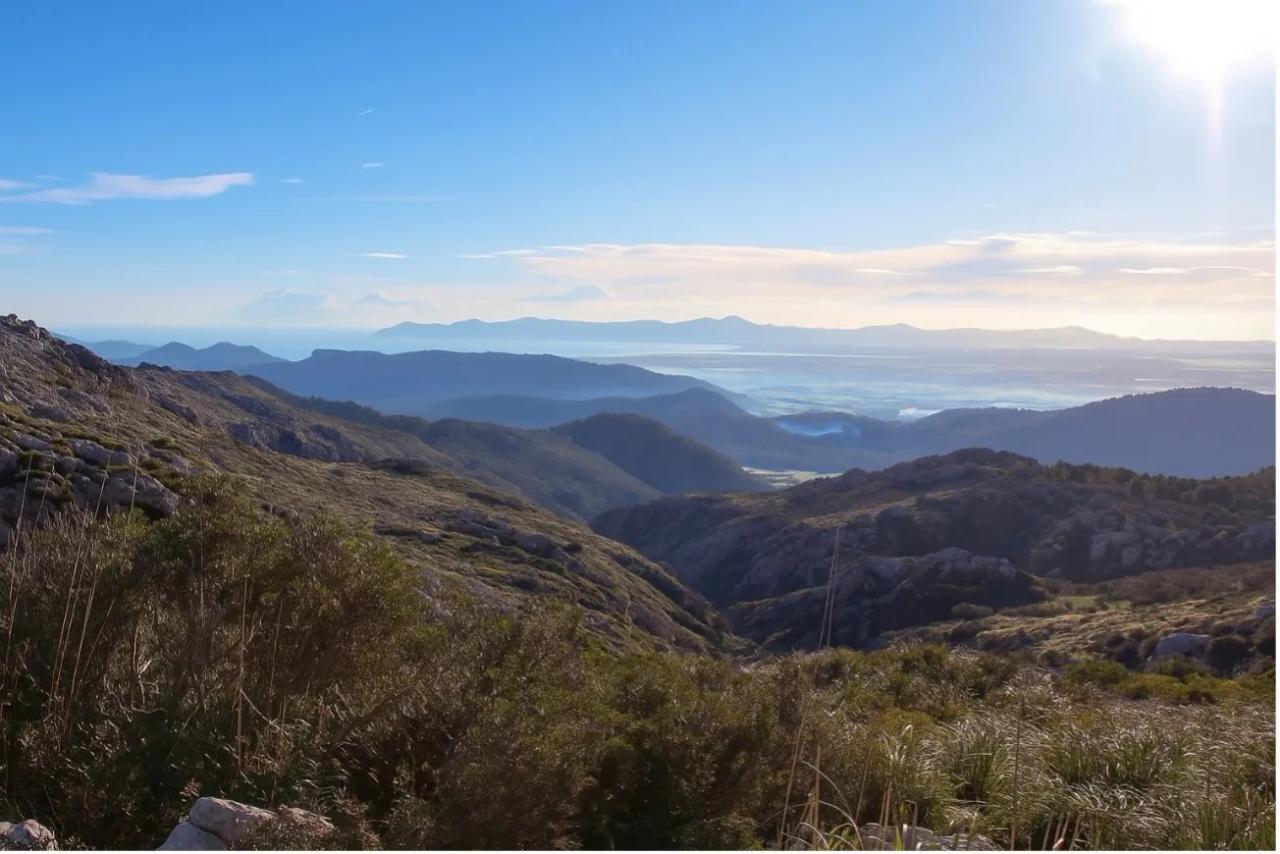 La UIB lidera un projecte pioner amb intel·ligència artificial per a combatre la degradació del sòl a les Balears