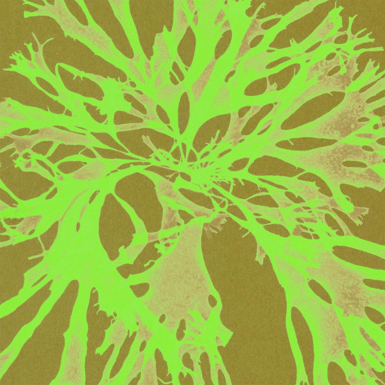 Amulet llança ‘Hasta la vista (BBY)’, un comiat a les relacions que no ens fan bé