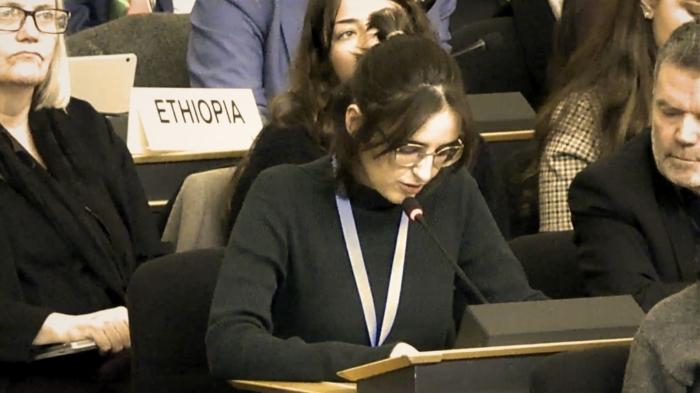 [VÍDEO] Reclamen a l’ONU que aturi els discursos d’odi contra els catalanoparlants a Internet i la vida diària