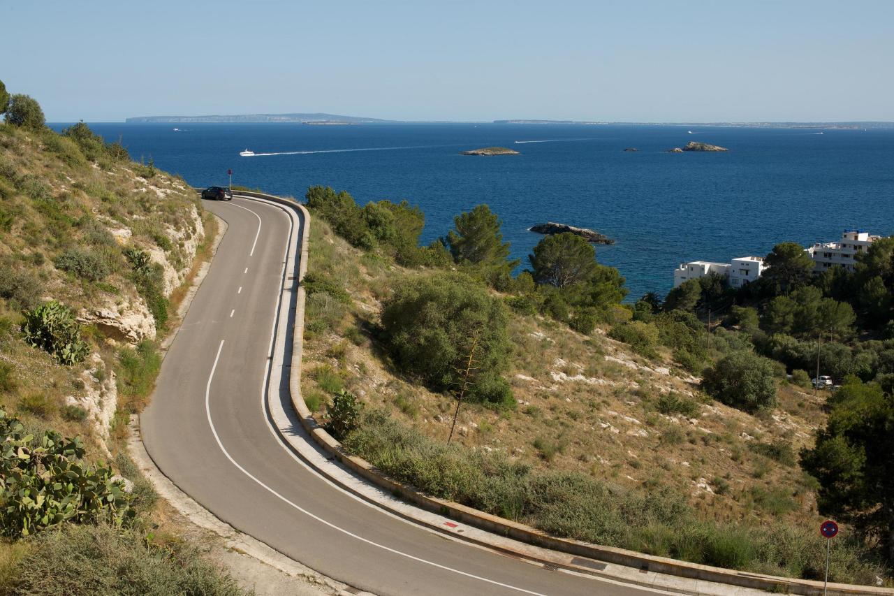 L’IEE presenta un recurs contra el concurs de la nova retolació viària d’Eivissa: «Incompleix la Llei de Normalització Lingüística»