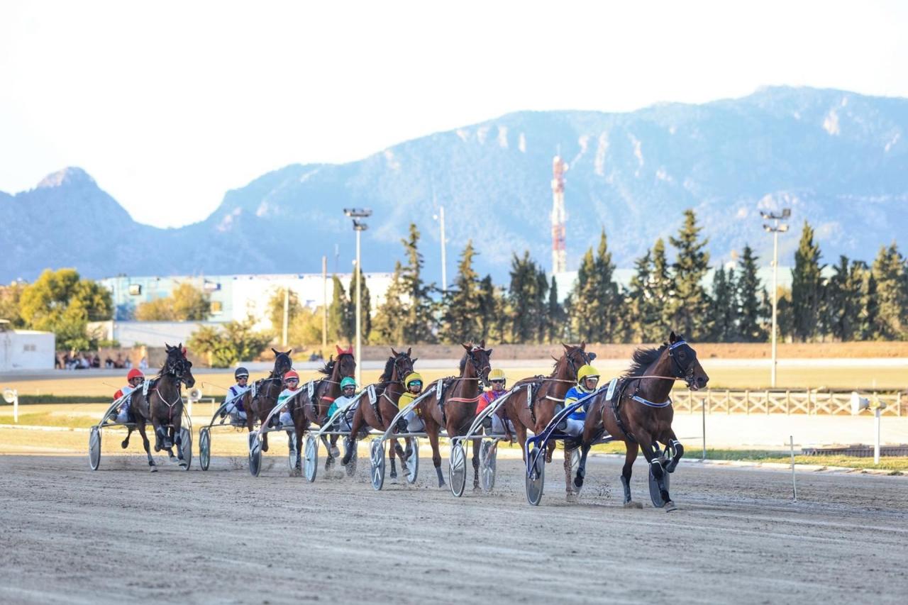 Progreso en Verde exigeix el tancament de l’hipòdrom de Son Pardo per no tenir llicència d’activitats