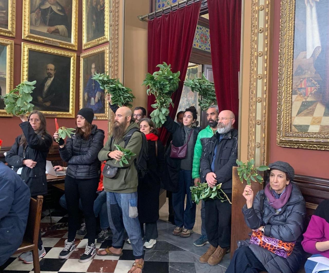Crits de «vergonya!» i branques dels arbres talats al plenari de l’Ajuntament de Palma