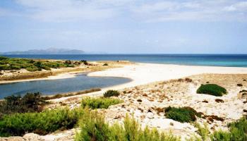 Platja de son Real (Mallorca).