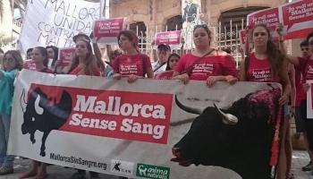 Desenes de persones han participat en la protesta. 