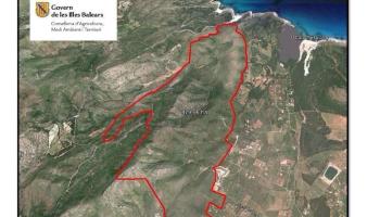 Imatge oferida pel Govern del perímetre afectat per les flames entre Artà i Capdepera.