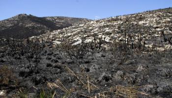 El vent del nord ha minvat i això ha contribuït a refredar els punts més calents.