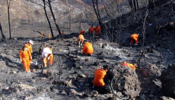 Les activitats de neteja de la zona afecta pel foc començaren la setmana passada. Els voluntaris lleven la brutor i talen els arbres calcinats.