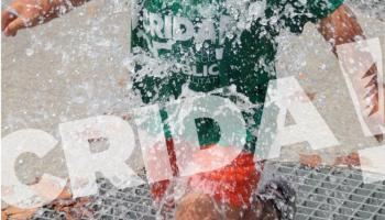 Les camisetes verdes es reuniran a Palma el proper 4 de setembre.