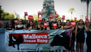 Mallorca Sense Sang considera que Balears farà història. 