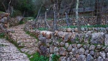 Cort se suma a la petició perquè la UNESCO declari la pedra en sec Patrimoni Immaterial