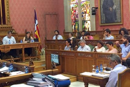 El Consell aprova una moció per «reafirmar» la seva intenció de rescatar el Túnel de Sóller