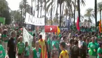 Concentració de docents al Consolat de Mar.