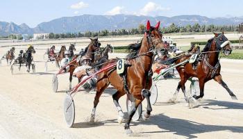 MÉS vol l'equiparació pressupostària de les curses de trot i galop.
