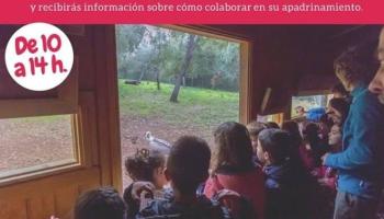 Celebració del Dia Mundial dels Voltors a Campanet