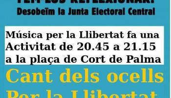 El Tsunami Democràtic arriba a Mallorca: actes a Alaró, Santa Maria, Montuïri, Esporles i Palma