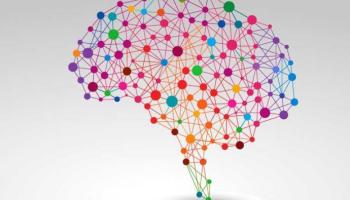 El Govern dóna consells de com gestionar les emocions durant el període de confinament.