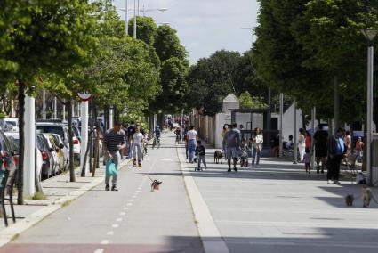 Cort convertirà 14 km en zona de vianants perquè la gent pugui passejar