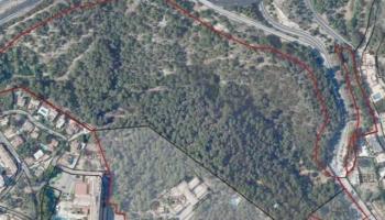 El PSIB-PSOE traeix MÉS i bloqueja l'aprovació del decret llei de desclassificacions