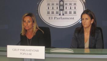 Cabrer i Bauzá durant la roda de premsa d'aquest dilluns. 