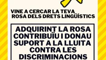 L'OCB fa una crida a lluir la Rosa dels Drets Lingüístics durant la diada de Sant Jordi