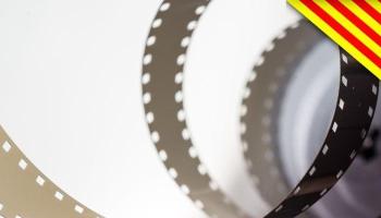 Insten totes les forces polítiques a incloure com a principi bàsic el reconeixement, defensa, garantia i promoció de la pluralitat lingüística en la Llei de l'Audiovisual