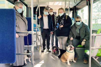 L’EMT Palma permet pujar amb animals de companyia a totes les línies amb un cost de 30 cèntims el viatge