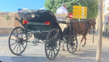 Progreso en Verde denuncia que els conductors de les galeres de cavalls presten servei en alerta groga