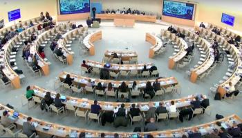 Plataforma per la Llengua denuncia al Fòrum de les Minories de l’ONU la complicitat de l’Estat espanyol amb el discurs de l’odi contra els catalanoparlants