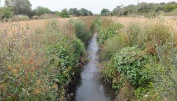 El diputat i vicepresident de El Pi considera que “la situació actual dels torrents posa en risc infraestructures i ciutadans”. 