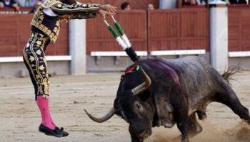 L'extrema dreta presenta una moció per a declarar Palma ciutat taurina