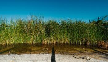 Imatge de l'exposició fotogràfica 'Temporada baixa' que es podrà visitar a Manacor.