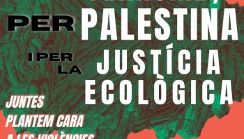 La protesta internacional per Palestina i contra el feixisme arriba a Palma