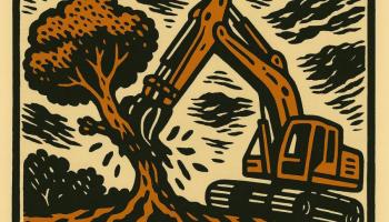 Convoquen una protesta contra la llei macrourbanitzadora que pretenen aprovar PP i Vox