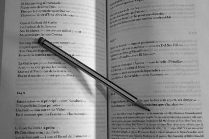 L'editorial 1984 acaba de publicar la 'Poesia completa' d'Emily Dickinson.