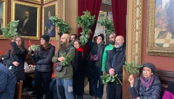 Crits de «vergonya!» i branques dels arbres talats al plenari de l'Ajuntament de Palma