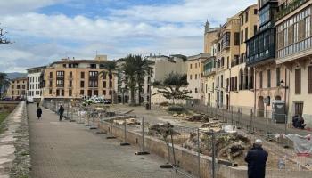 Els bellaombres de la plaça Llorenç Villalonga de Palma han quedat completament arrasats.