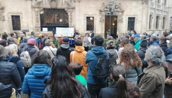 Els veïns de la Calatrava demanen «responsabilitats polítiques i tècniques» per la tala de bellaombres