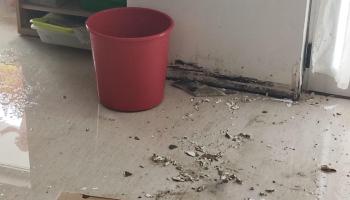 [VÍDEO] El sostre d’algunes aules d’educació infantil del CEIP sa Marina de Llucmajor cau a trossos