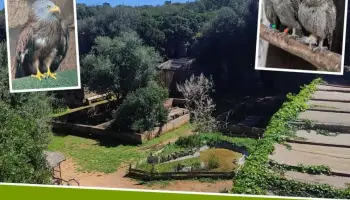 El Centre de Recuperaci&oacute; de Fauna Silvestre obre les portes al p&uacute;blic aquest estiu