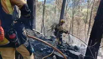 Controlat l&rsquo;incendi de Puigpunyent despr&eacute;s de cremar dues hect&agrave;rees de pi
