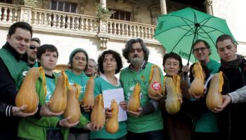 palma rp stei valoracion govern una calabaza por mes foto morey