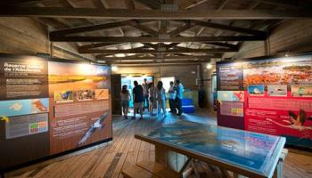 L'oposició denúncia que el Centre de Turisme Ornitològic de la Gola està tancat des de fa mesos.